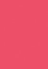 sorbet beam