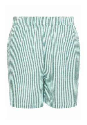 Long Tall Sally Shorts - light green