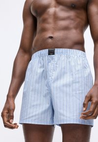 Fit mannlig torso iført lyseblå og hvite vertikale stripete boxershorts med en svart merkevarelabel på livet.