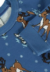 Zila sporta mikina ar spēlīgu vēdeliņu druku, kā arī sniega un slidotāju detaļām. Mīksta tekstūra ar ribotām aprocēm.