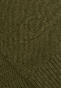 Tamsiai žalia šalikas su raukšlėmis, pasižymintis subtilia įspausta logotipu. Pagamintas iš minkštos mezginio medžiagos, užtikrinančios šilumą ir tekstūrą.