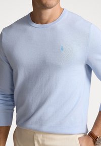 Jasnoniebieski sweter w formie pulowera, wykonany z miękkiego dzianiny, z okrągłym dekoltem i prążkowanymi mankietami, z małym haftowanym logo na piersi.