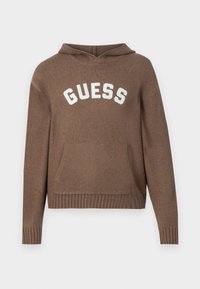 GO SWEATER HOODIE - Camisola - burnette brown