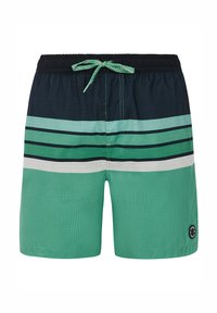 Groene en blauwe zwemshorts met horizontale strepen, een textuurpatroon van een grid en een verstelbare trekband in de taille. Zwart logo op het been.