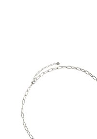 My Jewellery BOTANICAL STATEMENT CHARM - Collar - zilverkleurig