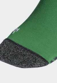 adidas Performance Calzettoni sportivi - team green/white