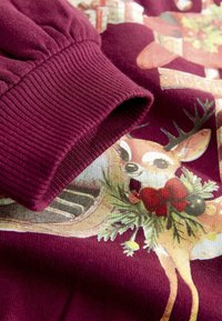 Sweatshirt bordeaux avec un graphisme de cerf entouré d'une couronne. Poignets côtelés texturés et tissu lisse avec une finition douce.