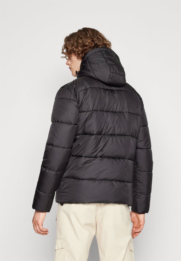 PADDERINO - Winter jacket4