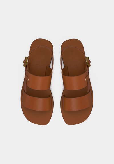 Καφέ δερμάτινα σανδάλια με δύο φαρδιές λουρίδες και ρυθμιζόμενο αγκράφα σε χρυσό τόνο σε απλό ανοιχτό φόντο.