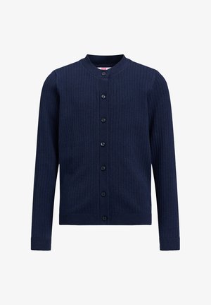 Vest - dark blue