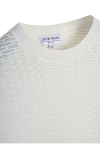 Lichtgekleurde, gestructureerde gebreide trui met een ronde halslijn. Bevat een label met het merk en de maat. Gemaakt van techno merinowol.