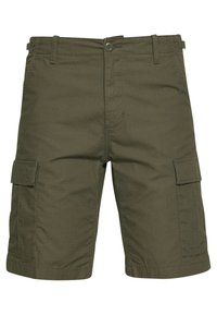 AVIATION - Shorts - cypress rinsed