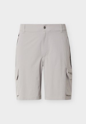 Jasnoszare męskie szorty cargo z zapięciem na guzik, szlufkami na pasek, bocznymi kieszeniami oraz logo Columbia Titanium na klapce prawej kieszeni.