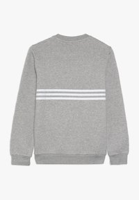 Grå sweatshirt med rund halsringning och långa ärmar. Tre vita horisontella ränder över den övre delen av ryggen. Mjuk textur.