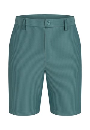 Teal shorts met een horizontale ribbeltextuur, een vlakke voorkant, knoopsluiting en lussen voor een riem, geschikt voor casual wear.