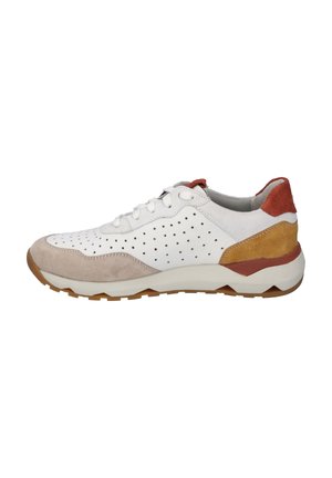 Josef Seibel JONAH - Sneaker low - beige multi