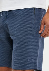 Threadbare THBFERGIE - Shorts - denim blue waffle