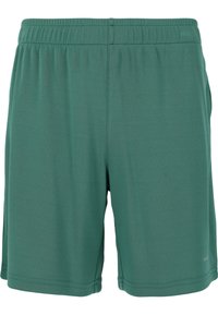 Gröna tygshorts med elastisk midja, slät textur och rak skärning. Inga fickor eller ytterligare funktioner synliga.