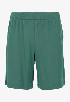 Grønne stofshorts med elastisk talje, glat tekstur og lige snit. Ingen lommer eller yderligere funktioner synlige.