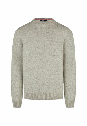 CREWNECK - Strickpullover - grau