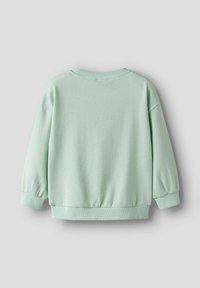 Pastelgroene lange mouwen crewneck-trui met geribbelde manchetten en zoom, gezien van de achterkant op een effen lichtgrijze achtergrond.