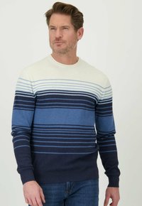 Gebreide trui met een ronde hals, horizontale strepen in tinten wit, lichtblauw en marineblauw, met een textuurfinish en aansluitende mouwen.