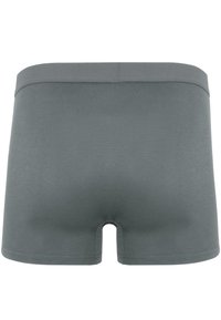 Normani 12 PACK - Boxer Briefs - anthrazit