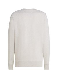 Felpa girocollo grigio chiaro con maniche lunghe, polsini a costine e orlo inferiore, caratterizzata da una texture sottile e una cucitura a V sul retro.