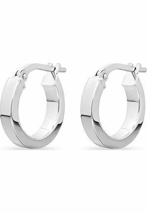 FAVS Øreringe - zilveren kleur