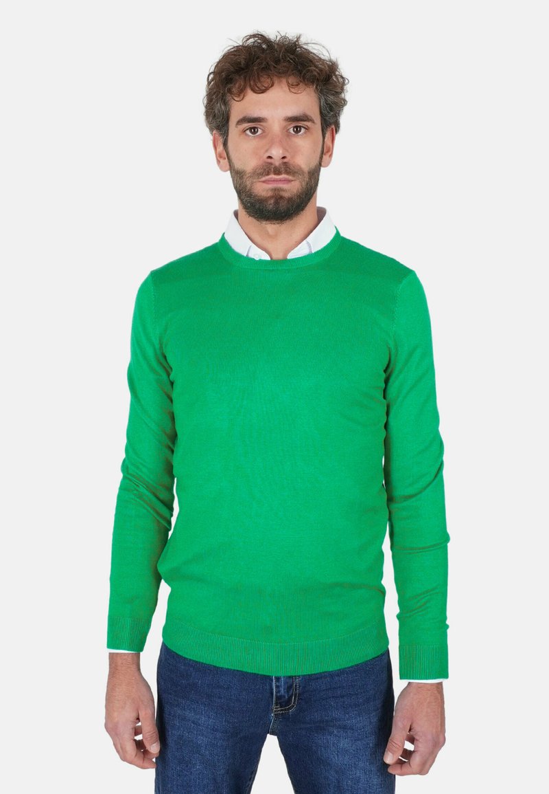 Uomo con capelli ricci e barba che indossa un maglione verde brillante sopra una camicia bianca e jeans blu, in piedi davanti a uno sfondo semplice.