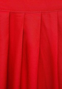 Jupe plissée rouge en tissu avec une texture lisse, présentant des plis régulièrement espacés et un design à couleur unie. Sans embellissements supplémentaires.