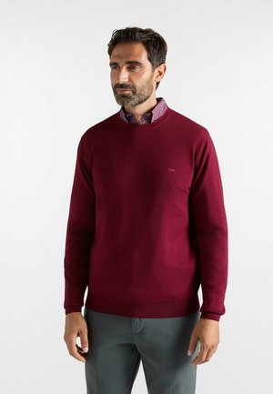 Uomo con capelli scuri e barba, indossa un maglione rosso girocollo sopra una camicia a fantasia e pantaloni grigi, in piedi davanti a uno sfondo semplice.