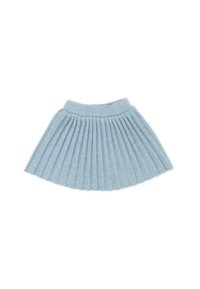 Gonna plissettata azzurro chiaro realizzata in tessuto morbido. Presenta un morbido elastico in vita e una forma svasata con pieghe verticali in tutto il capo.