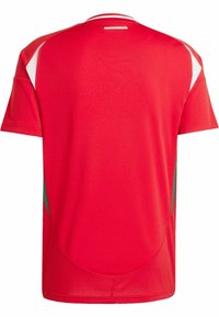 adidas Performance ADIDAS PERFORMANCE HUNGARY 24 HOME JERSEY - Equipación de selecciones - team victory red   white   collegiate green
