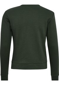 Groene sweatshirt met een ronde hals, lange mouwen en ribgebreide boorden en onderkant. De stof heeft een gladde, gelijkmatige textuur.