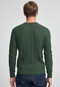 Grüner Strickpullover mit einem Zopfmuster, gerippten Bündchen und Saum sowie Rundhalsausschnitt. Der Stoff wirkt strukturiert und warm.