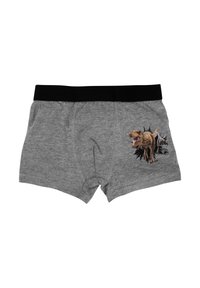 Boxer in cotone grigio con un elastico nero in vita, decorati con una grafica colorata di un dinosauro e ulteriori elementi di design.