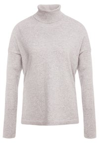 Pull à col roulé gris clair avec manches longues, coupe décontractée et tissu doux et texturé. Design simple sans motifs ni ornements.