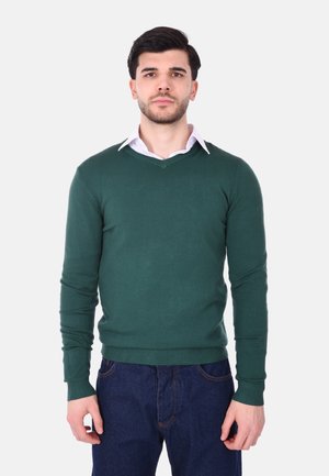 Maglione verde a scollo a V realizzato in materiale a maglia, con maniche lunghe e polsini a costine, abbinato a una camicia bianca con colletto e jeans in denim.