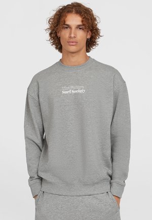Gray sweatshirt made from soft material, featuring a crew neck, long sleeves, and printed text: "The Future Surf Society" on the front.