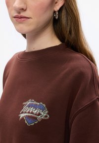 Sudadera marrón con cuello acanalado que presenta un logotipo bordado colorido. El tejido tiene una textura suave y un corte relajado.