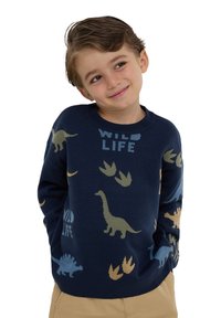 Maglione a maglia blu navy con motivi di dinosauri in verde chiaro e blu, con la scritta "WILD LIFE" in blu a contrasto, scollo rotondo.