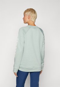 Sudadera verde clara con cuello redondo y mangas raglán. Presenta un tejido texturizado y un estampado gráfico a lo largo de la manga izquierda.