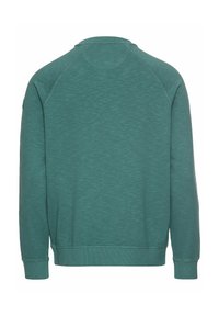 Green sweatshirt featuring a textured finish, ribbed cuffs, and a crew neckline with raglan sleeves. Flat back view.