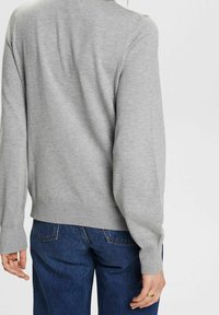 Pull gris en maille avec un col rond et des manches longues. Texture douce, ourlet côtelé et détail de couture subtil à l'arrière.