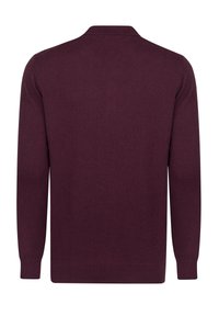 Vinrød strikket sweater med krave og lange ærmer. Glat tekstur, ribbede manchetter og kant. Bagfra ses en jævn konstruktion uden pynt.