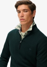 Joven con cabello corto y castaño, que lleva un suéter de media cremallera verde oscuro sobre una camisa de cuadros verde y blanca con cuello.