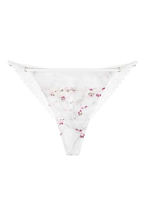 NETTIE - Stringi