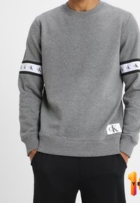 Felpa grigia in cotone con maniche lunghe, caratterizzata da una banda logo in bianco e nero sulle maniche e una piccola etichetta con logo all'orlo.