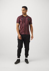 Hummel DENMARK DBU HALO  - Pelipaita - port royale